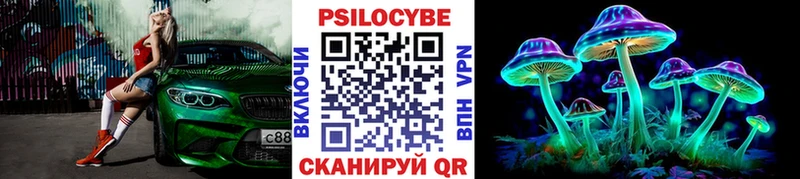 где найти   ссылка на мегу как зайти  Псилоцибиновые грибы прущие грибы  Красноперекопск 